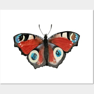 Peacock Butterfly Watercolor Illustration Posters and Art